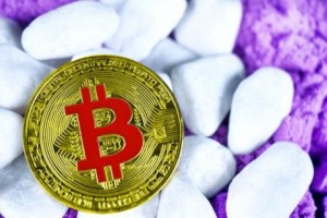 LTC实时价格_LTC今日价格行情-LTC最新消息
