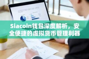 Siacoin钱包深度解析，安全便捷的虚拟货币管理利器