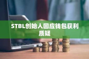 STBL创始人回应钱包获利质疑