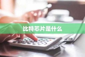 比特芯片是什么