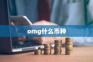 omg什么币种