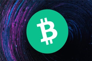比特中国下线比特币怎么处理，应对策略与替代方案探讨