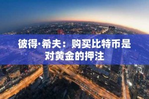 彼得·希夫：购买比特币是对黄金的押注