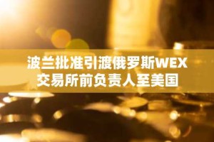 波兰批准引渡俄罗斯WEX交易所前负责人至美国