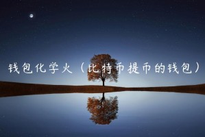 钱包化学火（比特币提币的钱包）