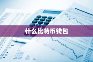 什么比特币钱包
