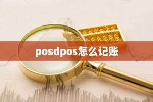 posdpos怎么记账