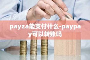 payza能支付什么-paypay可以转账吗
