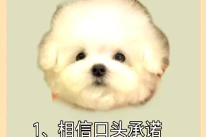 狗类价格：狗类价格大全