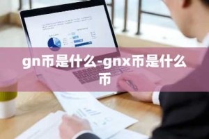 gn币是什么-gnx币是什么币