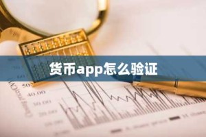货币app怎么验证