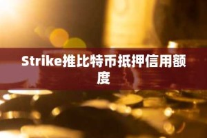 Strike推比特币抵押信用额度