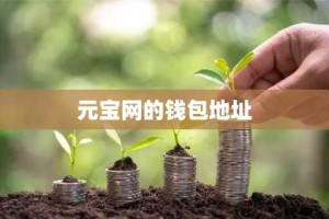 元宝网的钱包地址