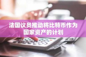 法国议员推动将比特币作为国家资产的计划
