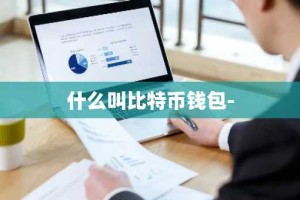什么叫比特币钱包-