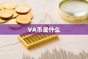 VA币是什么